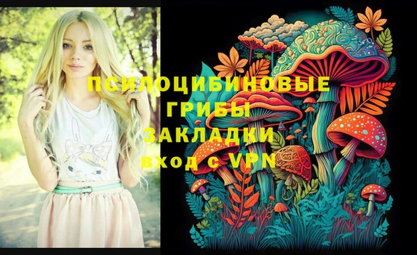 spice Медвежьегорск